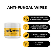 Load image into Gallery viewer, Anti-Fungal Wipes 50ct
