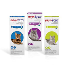 Load image into Gallery viewer, Bravecto Topical Solution 3 Meses Para Gatos
