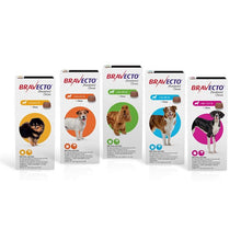 Load image into Gallery viewer, Bravecto Chews Para Perros 1PK
