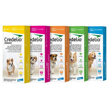 Load image into Gallery viewer, Credelio 1 Month Chew For Dogs

