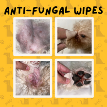 Load image into Gallery viewer, Anti-Fungal Wipes 50 ct
